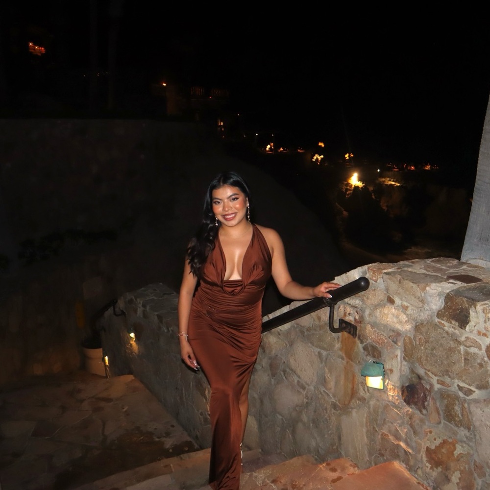 OH POLLY Brown Gown